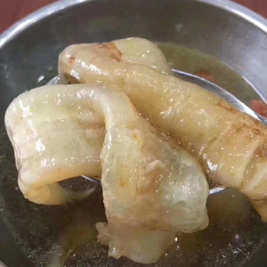 阳西县 35头北海黄花胶