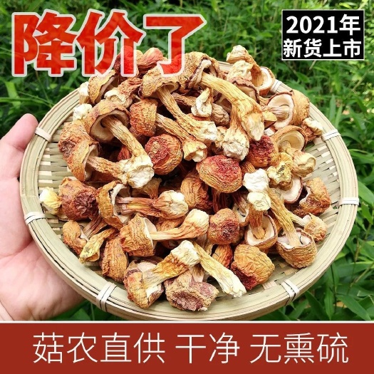 文山市姬松茸干货 云南特产食用野生菌菇蘑菇松茸