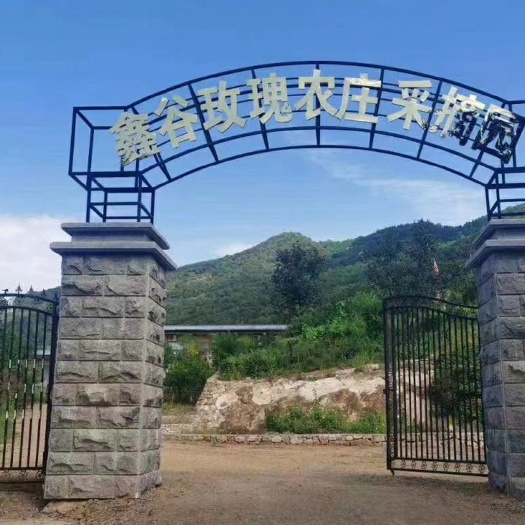 北京果园 北京休闲农庄