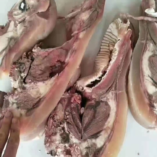 阳信县纯干熟牛头肉质量很好价格不高需要牛老板联系