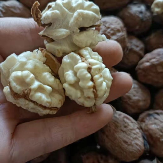 威宁县薄皮核桃  贵州新鲜核桃