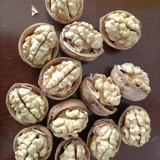 沈阳 新疆纸皮核桃