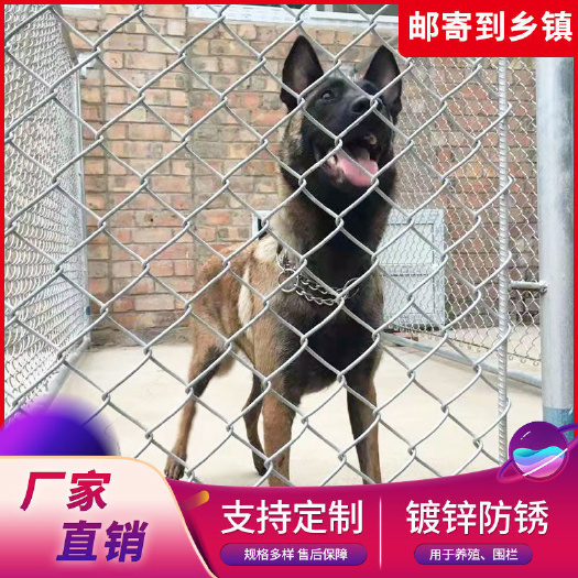 安平县荷兰网  热镀锌养香猪鸡鸭鹅防护网养殖网圈地圈山网围栏网铁丝