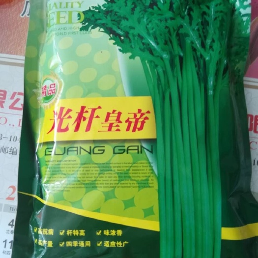 光杆茼蒿种子  光杆茼蒿菜种子500克，茎杆青绿色,杆高42cm左右,开展度