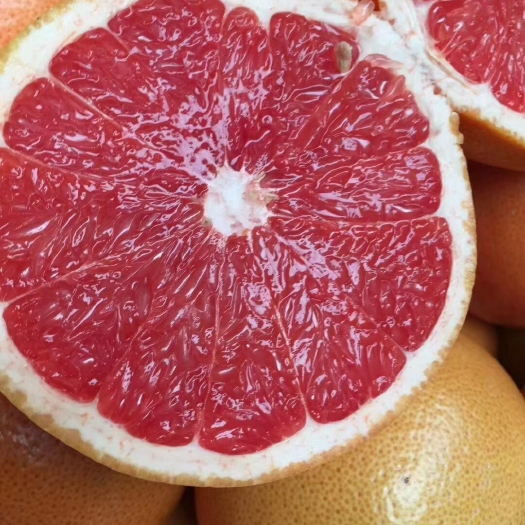 南非西柚