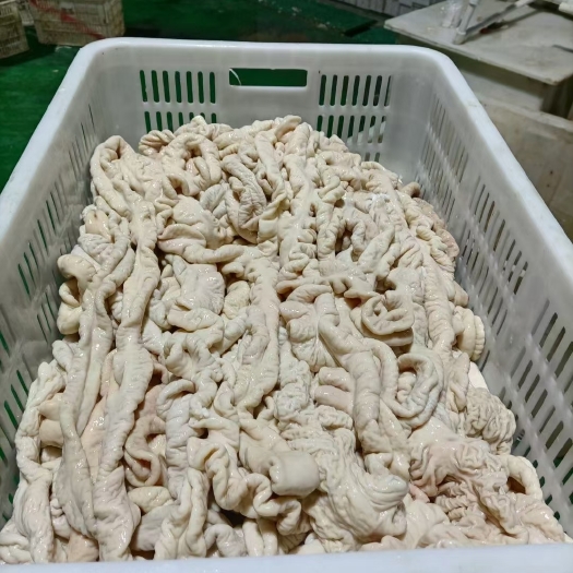 哈尔滨猪肠  鲜肥肠，大量批发