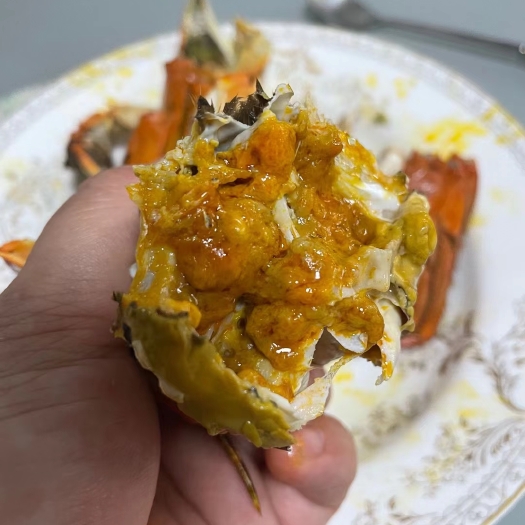 南京 固城湖精品大闸蟹
