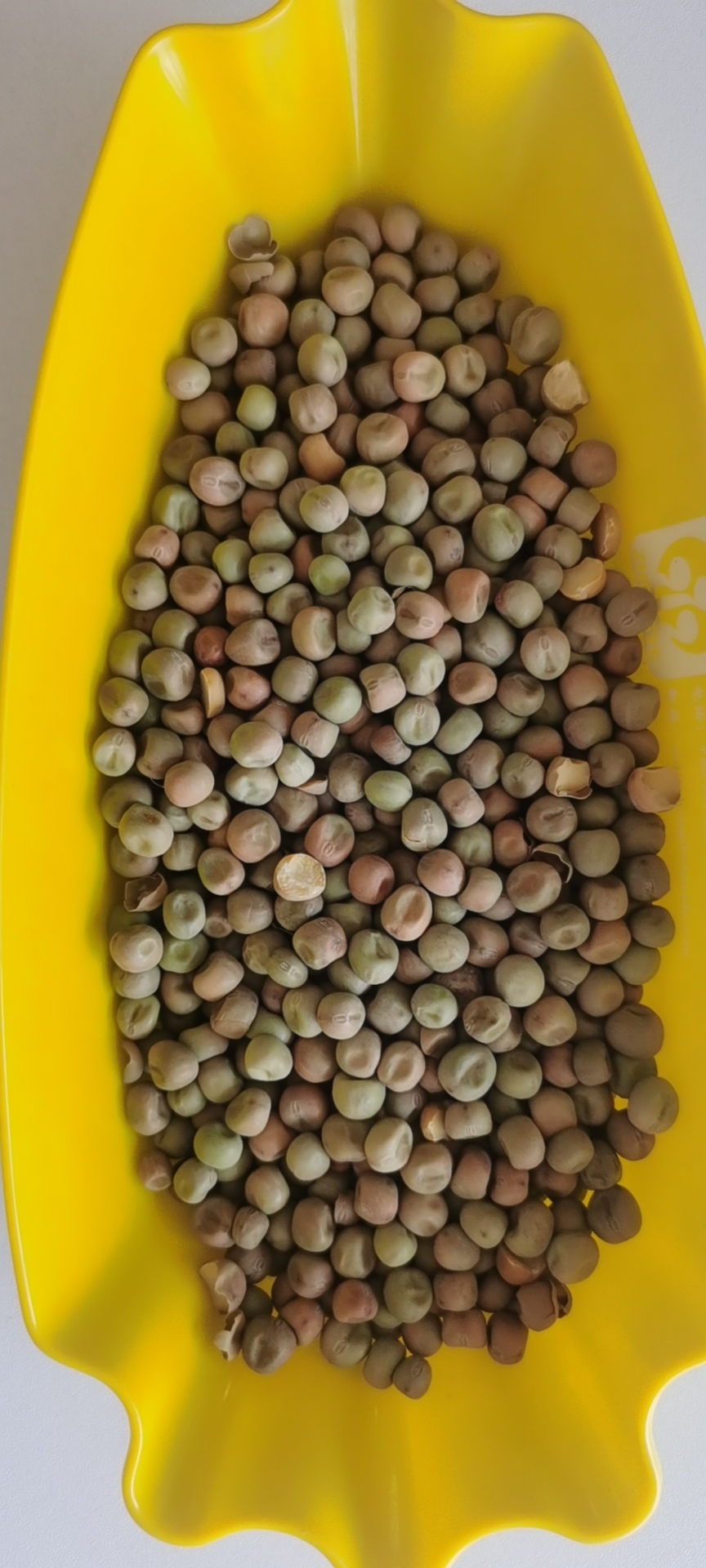 干豌豆  绿麻豌豆