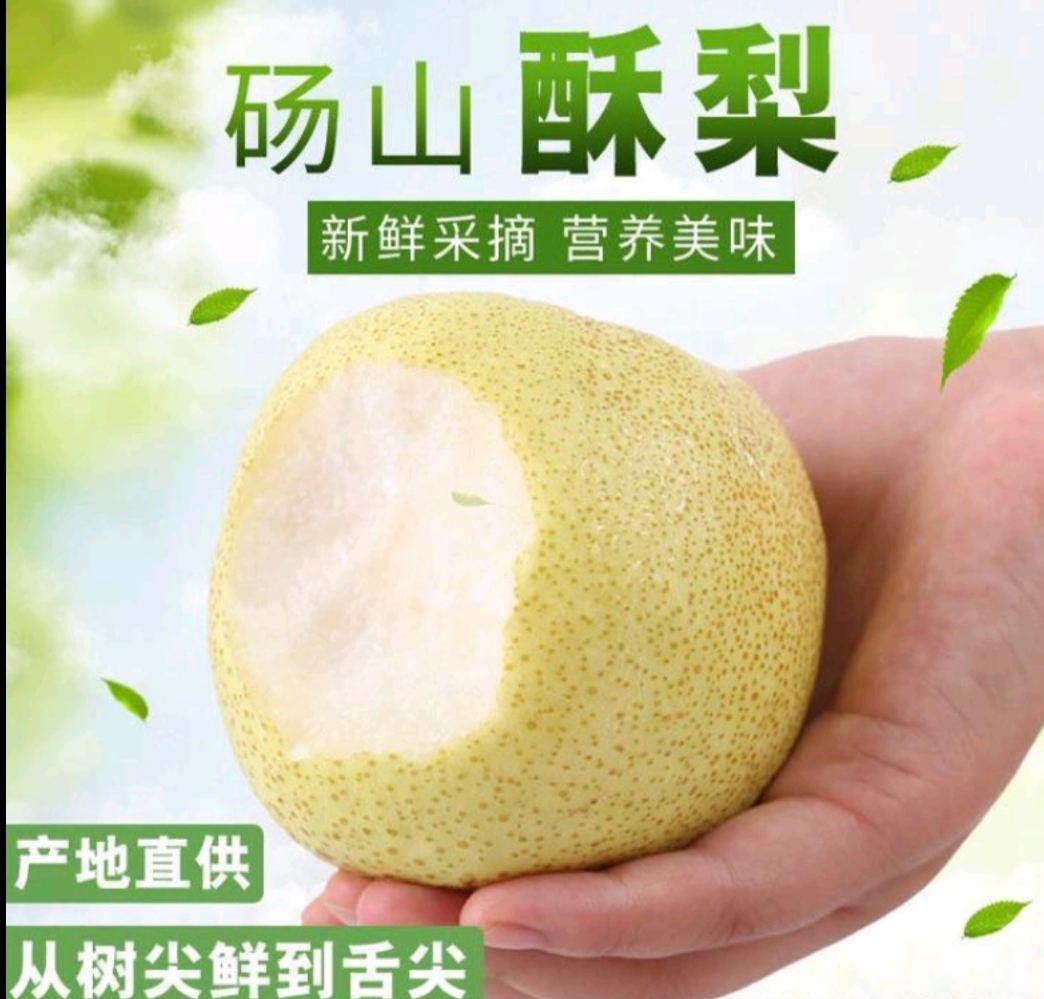 砀山酥梨  万亩果园，皮薄肉厚，脆甜多汁。