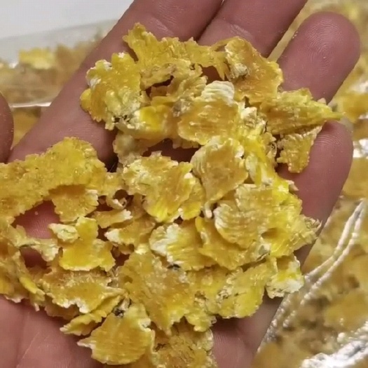 青冈县压片玉米  玉米压片 黑龙江玉米压片 厂家直销 质优价廉