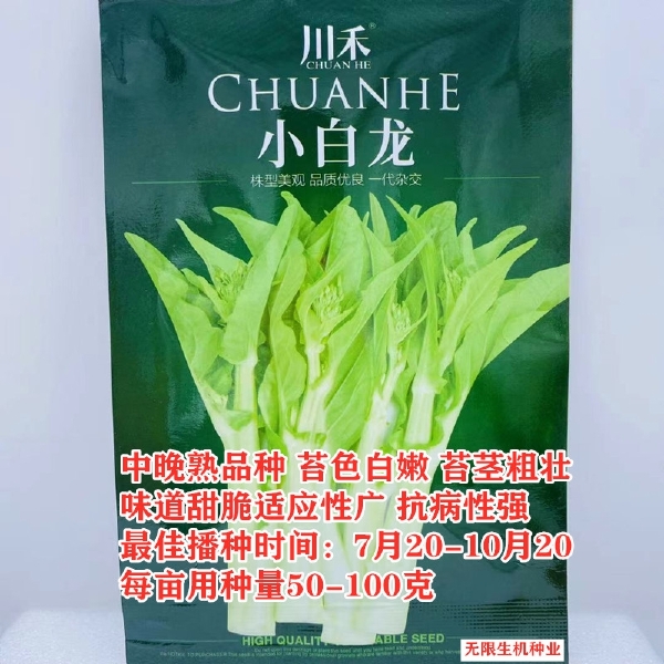 川禾小白龙白菜苔种子株型美观品质优良一代杂交甜脆白嫩粗壮抗病