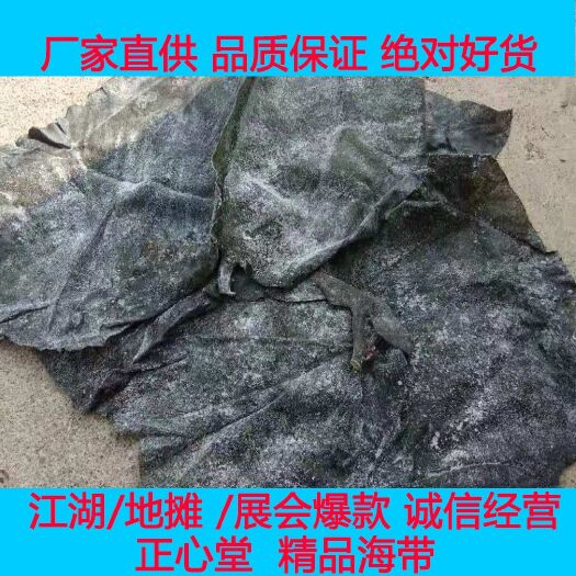 威海海带山东海带 半干盐渍海带头地摊展会江湖爆款个大肉厚色绿好货