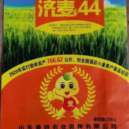 济南小麦种子 杂交种 预包装