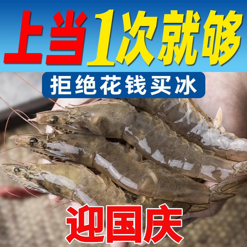 青島對蝦  冰鮮部族青島大蝦蝦子鮮活新鮮海鮮特大號4斤