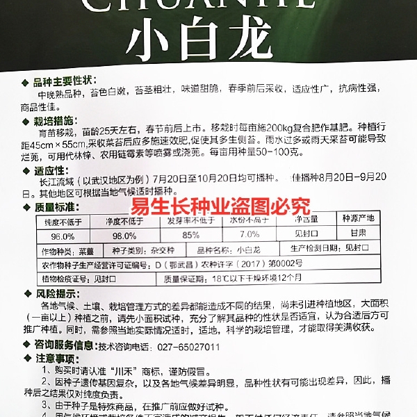 川禾小白龙白菜苔种子株型美观品质优良一代杂交甜脆白嫩粗壮抗病