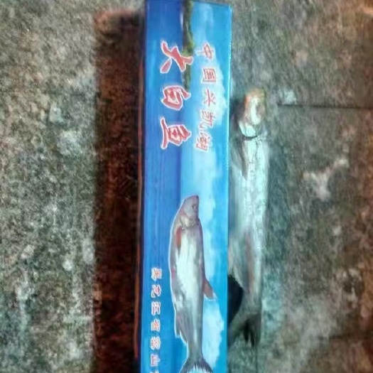 绥芬河市翘嘴鲌鱼  兴凯湖大白鱼