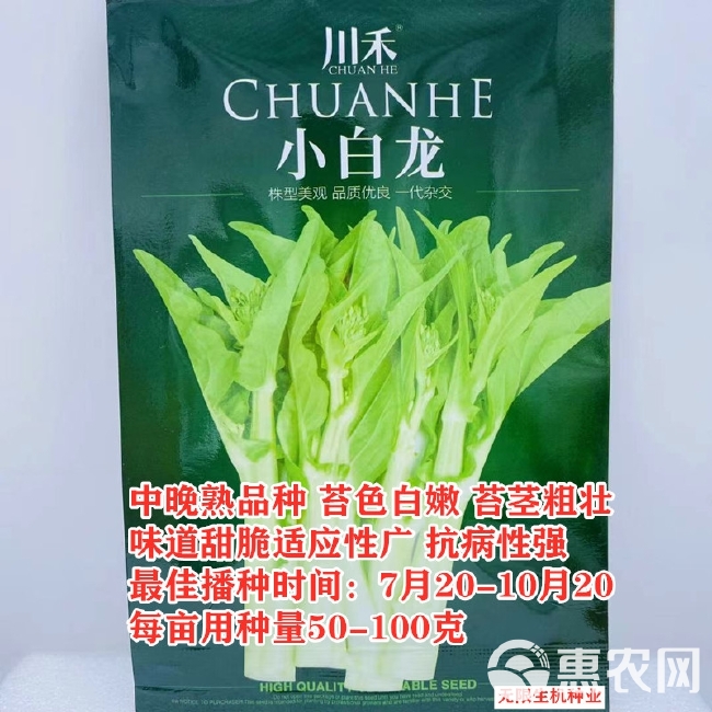 川禾小白龙白菜苔种子株型美观品质优良一代杂交甜脆白嫩粗壮抗病