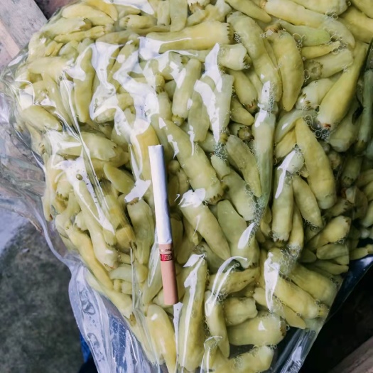 凤庆县朝天椒 野山椒泡椒
