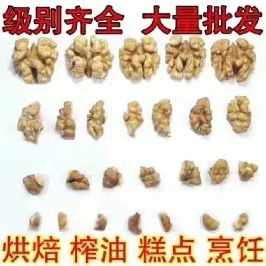 汾阳市2021新疆新丰核桃仁大量出货，价格合适，需要联系！尖白普白