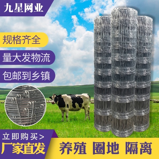 安平县荷兰网  热镀锌防锈铁丝网钢丝网养殖网护栏围栏户外铁丝网果园