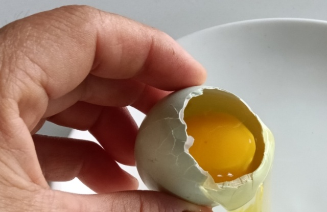 澄迈县海南富硒绿壳蛋食用