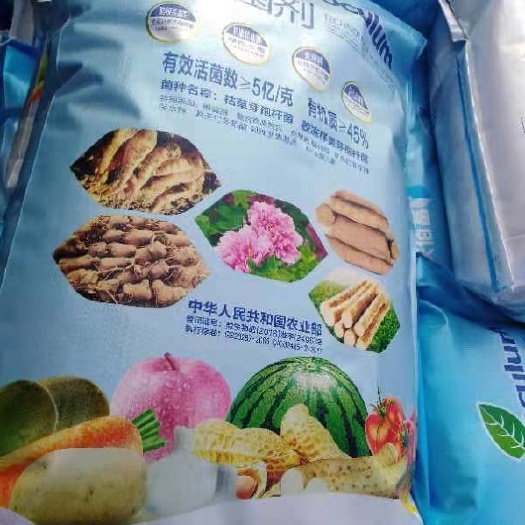 海丰县微生物肥  微生物菌肥5亿/含有大量的固氮菌