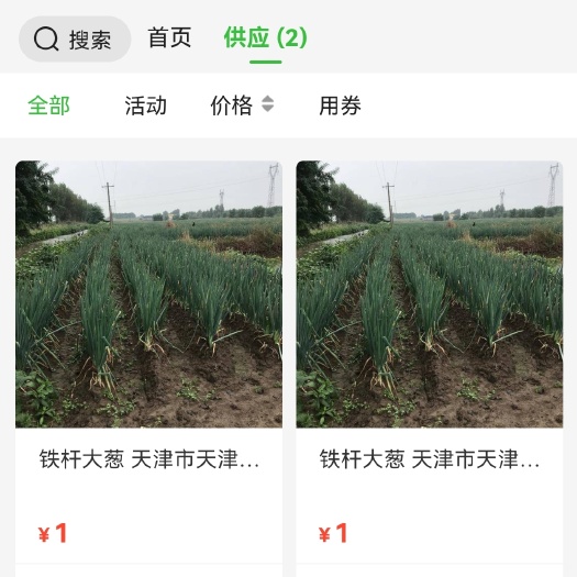 天津 宝坻铁杆大葱.，在滨海新区的大王圈安家落户,占地三十余亩，