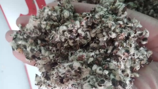 灵寿县 棉籽壳，食用菌用棉籽壳