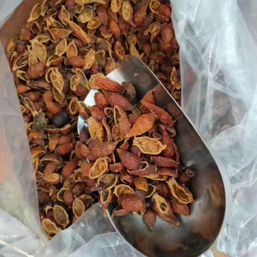 饶平县 金樱子