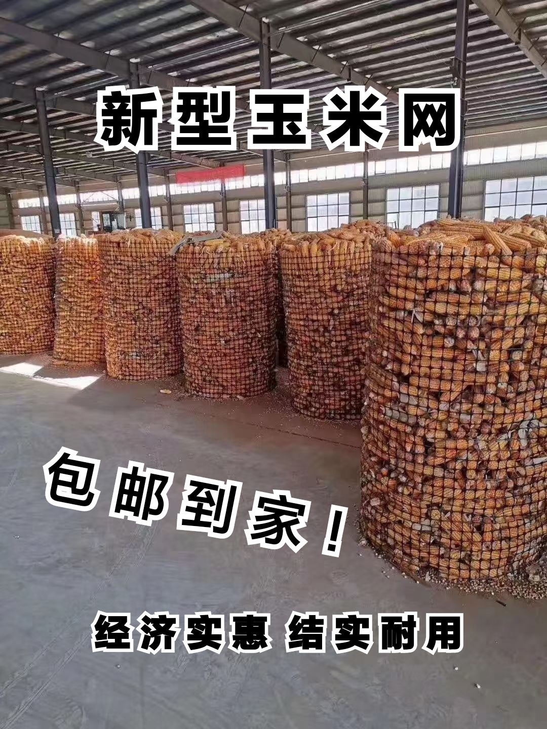 安平县圈玉米的网子 新型玉米网 土工格栅塑料网 小孔圈棒子网