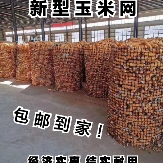 安平县圈玉米的网子 新型玉米网 土工格栅塑料网 小孔圈棒子网