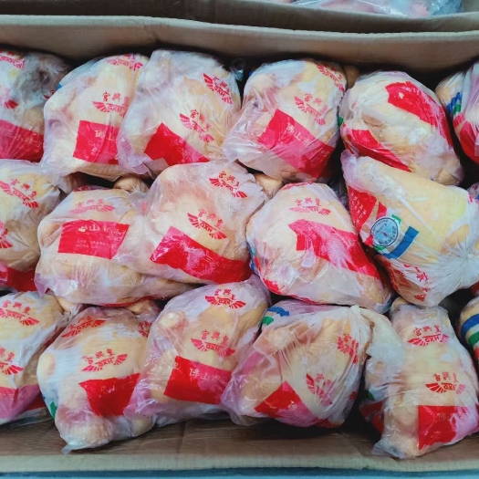 重庆市鸡肉  清远鸡