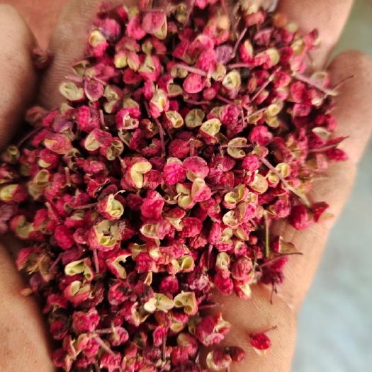 涉县 花椒