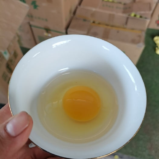 鲜鸡蛋