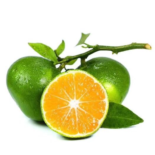 【顺丰 寻乌蜜桔】当季新鲜柑橘酸甜爽口