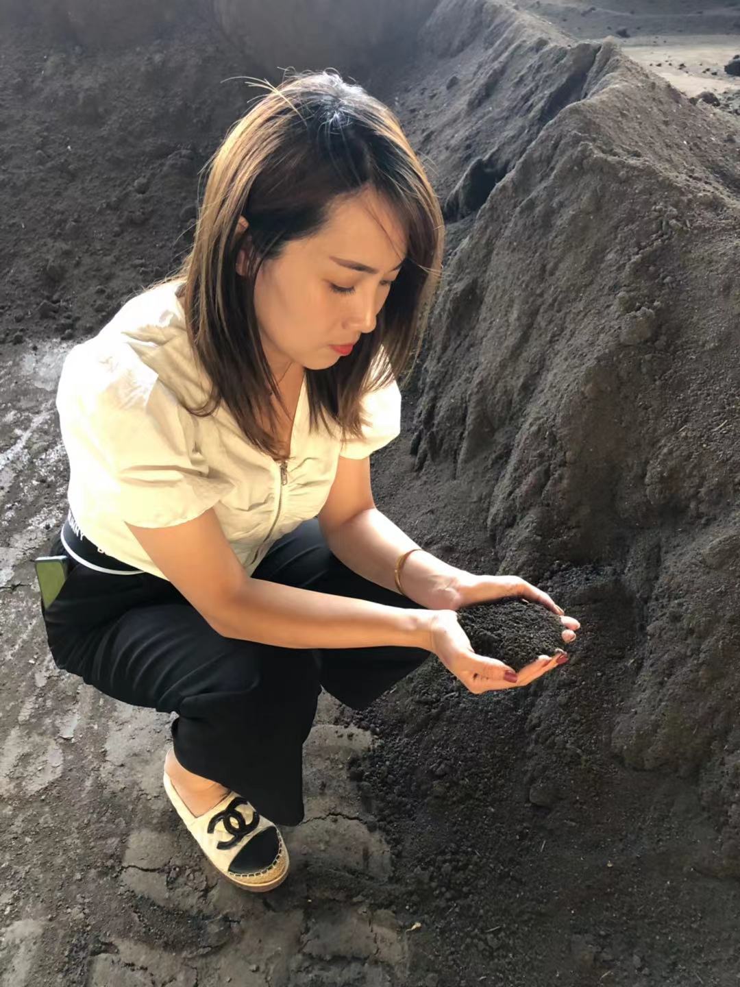 海兴县羊粪  发酵羊粪  农家肥  种植的好帮手
