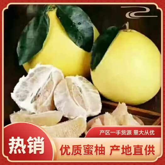 枝江市蜜柚 白心蜜柚 红心蜜柚湖北宜昌原产地直发 水分充足