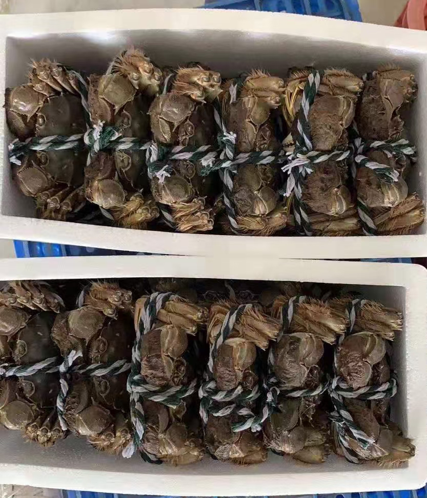 大闸蟹  鲜活螃蟹  礼盒包装  需要其它规格请联系