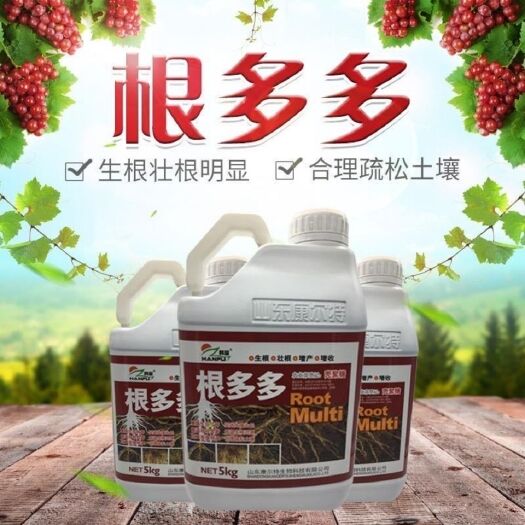 临沂中量元素肥料 根多多强力生根壮苗剂冲施肥壳聚糖氨基酸水溶肥低温生根包邮