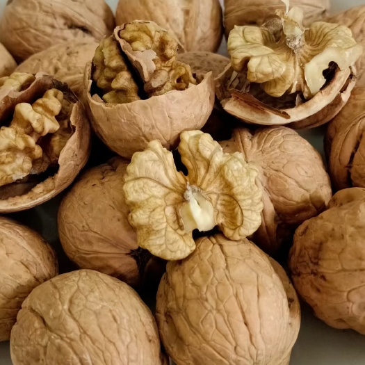 山核桃  无漂白 无荧光剂 大自然的搬运工颗粒饱满肉厚味香微