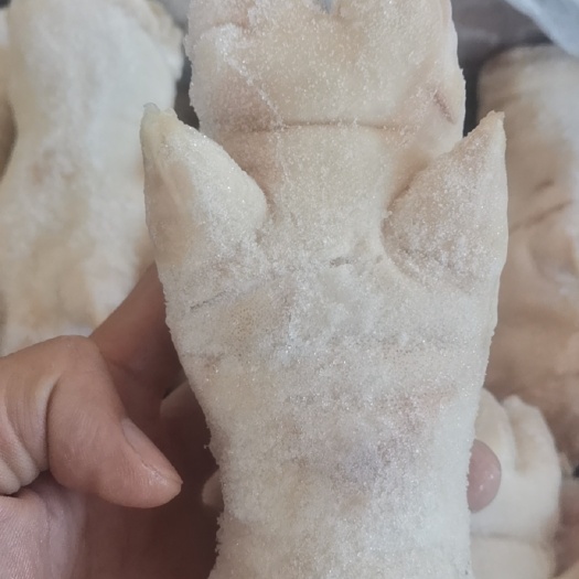  去筋猪蹄猪脚30个装
