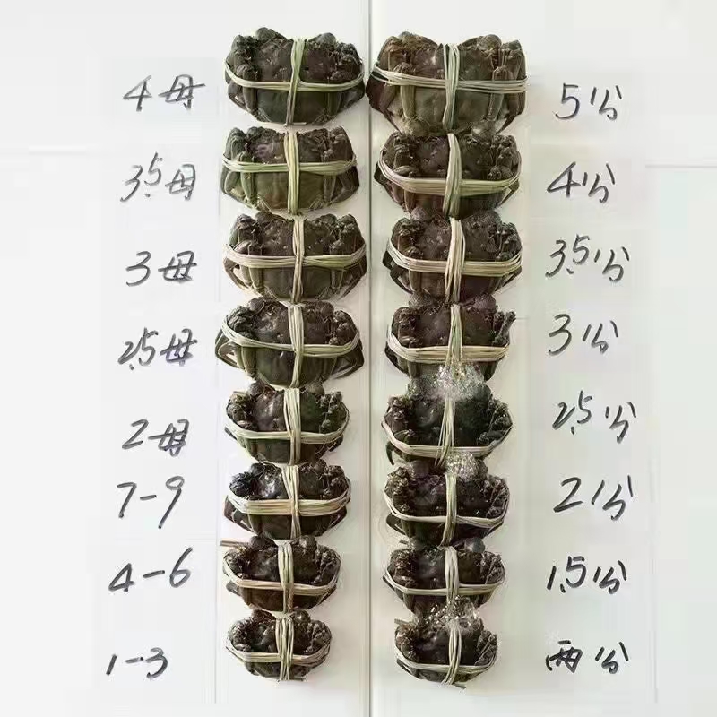 大闸蟹  鲜活螃蟹  礼盒包装  需要其它规格请联系