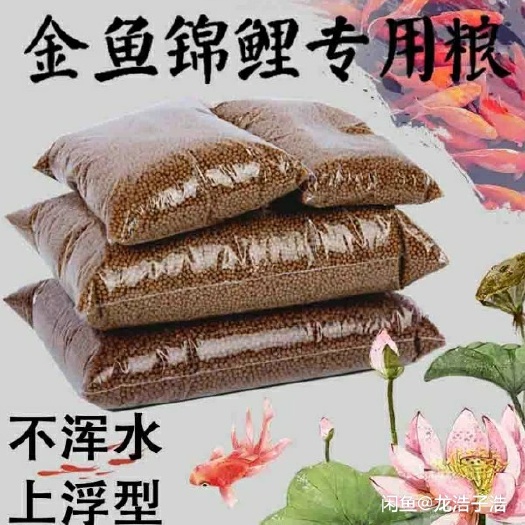 重庆市饲料鱼  配合饲料：锦鲤，各种观赏鱼类