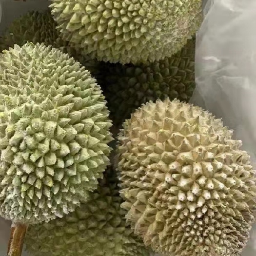广州马来西亚液氮果猫山王榴莲D197新鲜榴莲水果