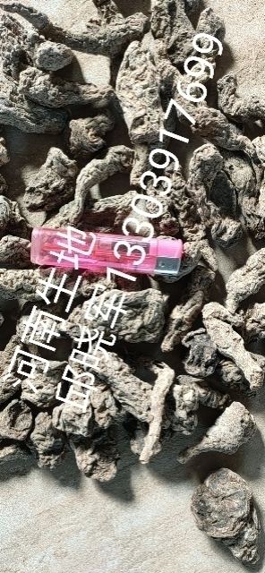 武陟县干地黄 河南生地黄