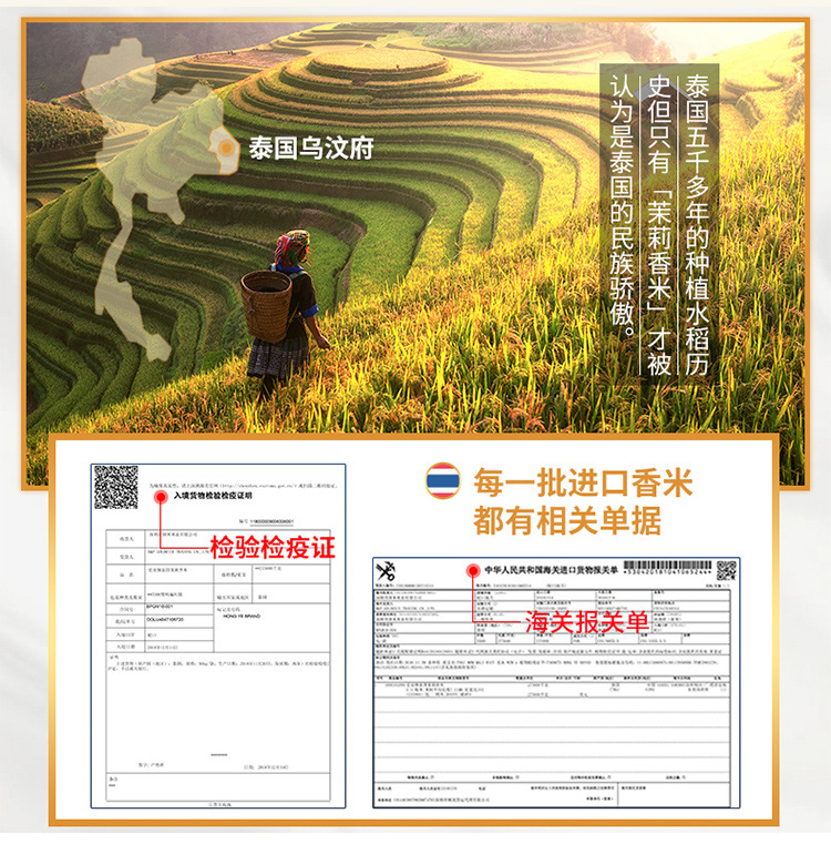  泰北香泰国原粮茉莉香米50斤