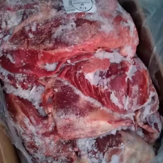 宁津县马肉  生鲜马肉 带皮去皮马肉 速冻马肉 一手货源  冷链全