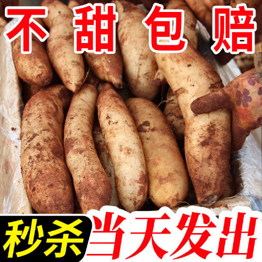  云南天山雪莲果当季孕妇新鲜水果黄心红心整箱包邮批发