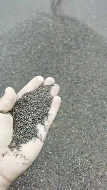 油菜籽  油菜种子