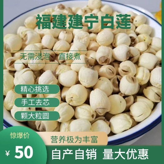 建宁县2023年福建建宁特产莲子去芯农家手工白莲子 粉糯易煮无芯